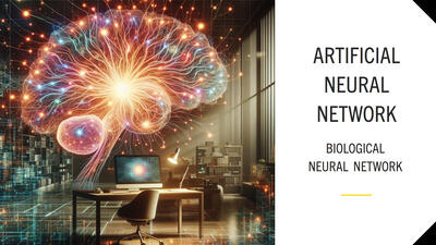 Biological Neural Network in Artificial Neural Network